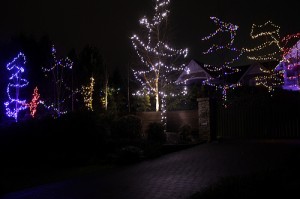 Vancouver Christmas Light Installation
