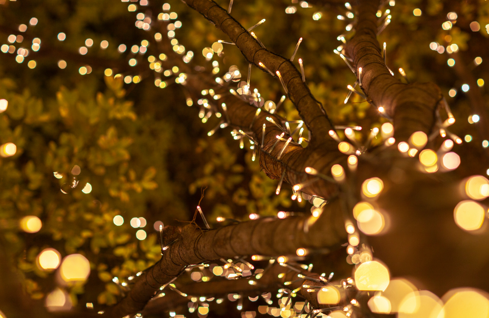 Christmas light installation in property trees and yards